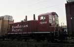 CP 1244